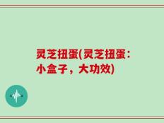 灵芝扭蛋(灵芝扭蛋：小盒子，大功效)