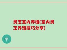 灵芝室内养植(室内灵芝养殖技巧分享)