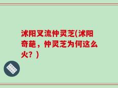 沭阳叉流仲灵芝(沭阳奇葩，仲灵芝为何这么火？)