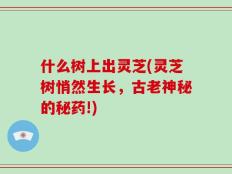 什么树上出灵芝(灵芝树悄然生长，古老神秘的秘药!)