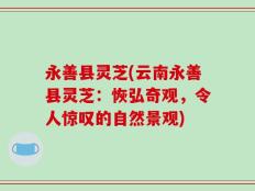 永善县灵芝(云南永善县灵芝：恢弘奇观，令人惊叹的自然景观)