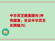 中华灵芝图案图片(神奇图案，见证中华灵芝无限魅力)