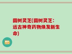 圆树灵芝(圆树灵芝：远古神奇药物焕发新生命)
