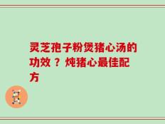 灵芝孢子粉煲猪心汤的功效 ？炖猪心最佳配方
