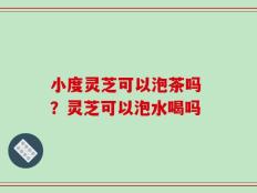 小度灵芝可以泡茶吗 ？灵芝可以泡水喝吗