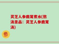 灵芝人参鹿茸煮水(熬汤圣品：灵芝人参鹿茸汤)
