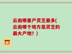 云南哪里产灵芝最多(云南哪个地方是灵芝的最大产地？)