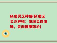 杨凌灵芝种植(杨凌区灵芝种植：发现灵性滋味，走向健康前沿)
