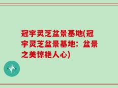 冠宇灵芝盆景基地(冠宇灵芝盆景基地：盆景之美惊艳人心)