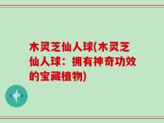 木灵芝仙人球(木灵芝仙人球：拥有神奇功效的宝藏植物)
