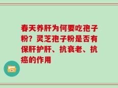 春天养肝为何要吃孢子粉？灵芝孢子粉是否有保肝护肝、抗衰老、抗癌的作用