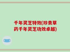 千年灵芝特效(珍贵草药千年灵芝功效卓越)
