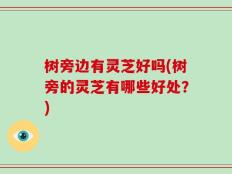 树旁边有灵芝好吗(树旁的灵芝有哪些好处？)