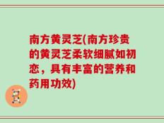 南方黄灵芝(南方珍贵的黄灵芝柔软细腻如初恋，具有丰富的营养和药用功效)