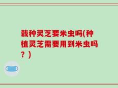 栽种灵芝要米虫吗(种植灵芝需要用到米虫吗？)