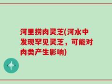 河里捞肉灵芝(河水中发现罕见灵芝，可能对肉类产生影响)