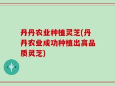 丹丹农业种植灵芝(丹丹农业成功种植出高品质灵芝)