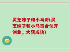 灵芝妹子和小马哥(灵芝妹子和小马哥合伙开创业，大获成功)