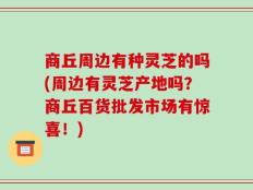 商丘周边有种灵芝的吗(周边有灵芝产地吗？商丘百货批发市场有惊喜！)