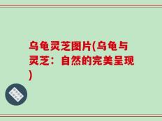 乌龟灵芝图片(乌龟与灵芝：自然的完美呈现)
