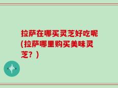 拉萨在哪买灵芝好吃呢(拉萨哪里购买美味灵芝？)
