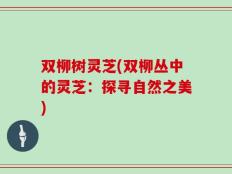 双柳树灵芝(双柳丛中的灵芝：探寻自然之美)