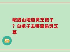 峨眉山地道灵芝孢子 ？白娘子去哪里偷灵芝草