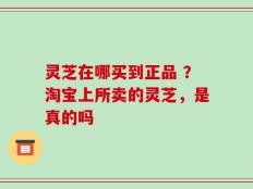 灵芝在哪买到正品 ？淘宝上所卖的灵芝，是真的吗