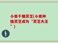 小姜千棚灵芝(小姜种植灵芝成为“灵芝大王”)