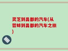 灵芝到昌都的汽车(从哲蚌到昌都的汽车之旅)