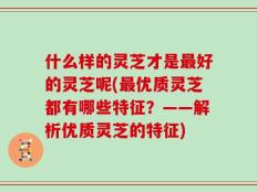 什么样的灵芝才是最好的灵芝呢(最优质灵芝都有哪些特征？——解析优质灵芝的特征)