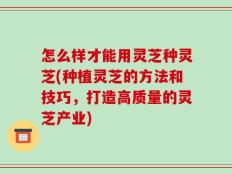 怎么样才能用灵芝种灵芝(种植灵芝的方法和技巧，打造高质量的灵芝产业)
