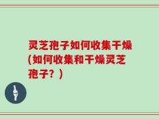 灵芝孢子如何收集干燥(如何收集和干燥灵芝孢子？)