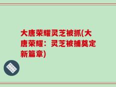 大唐荣耀灵芝被抓(大唐荣耀：灵芝被捕奠定新篇章)