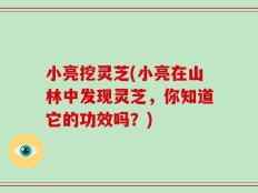 小亮挖灵芝(小亮在山林中发现灵芝，你知道它的功效吗？)