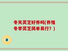 冬天灵芝好养吗(养殖冬季灵芝简单易行？)