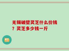 无锡破壁灵芝什么价钱？灵芝多少钱一斤