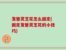 发簪灵芝花怎么固定(固定发簪灵芝花的小技巧)