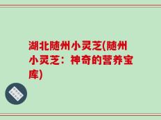 湖北随州小灵芝(随州小灵芝：神奇的营养宝库)