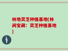 林地灵芝种植基地(林间宝藏：灵芝种植基地)