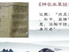 灵芝孢子粉的功效简介，看完心里就清楚了！