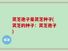 灵芝孢子是灵芝种子(灵芝的种子：灵芝孢子)