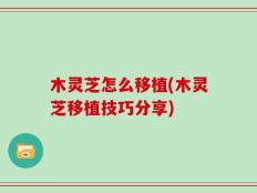木灵芝怎么移植(木灵芝移植技巧分享)