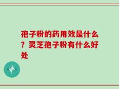 孢子粉的药用效是什么？灵芝孢子粉有什么好处