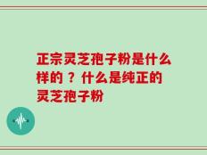 正宗灵芝孢子粉是什么样的 ？什么是纯正的灵芝孢子粉