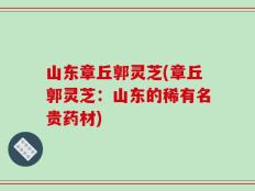 山东章丘郭灵芝(章丘郭灵芝：山东的稀有名贵药材)