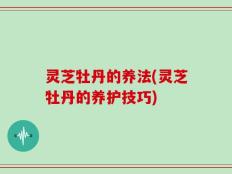 灵芝牡丹的养法(灵芝牡丹的养护技巧)