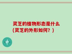 灵芝的植物形态是什么(灵芝的外形如何？)