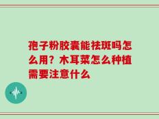 孢子粉胶囊能祛斑吗怎么用？木耳菜怎么种植需要注意什么