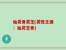 仙灵骨灵芝(灵性之源：仙灵芝骨)